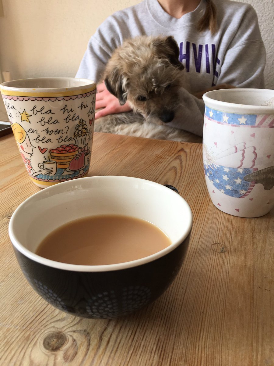 SaffiBorderT's tweet photo. Tea for three ☕️ Rice pudding in the oven. Vet is coming in an hour. #btposse #saffisporch 😢 https://t.co/9Qqv1OtXo2