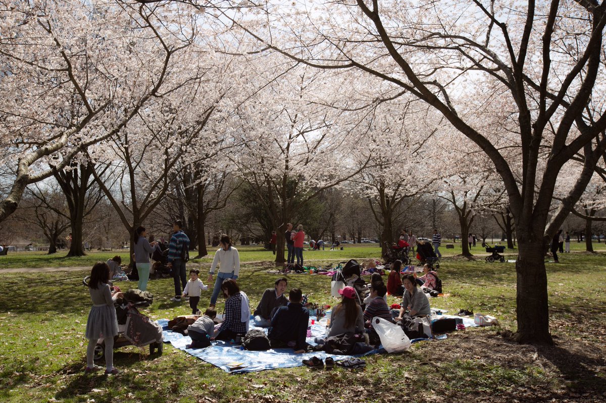 Good morning Philadelphia! Spring has finally arrived. How can we help you today? #philly311