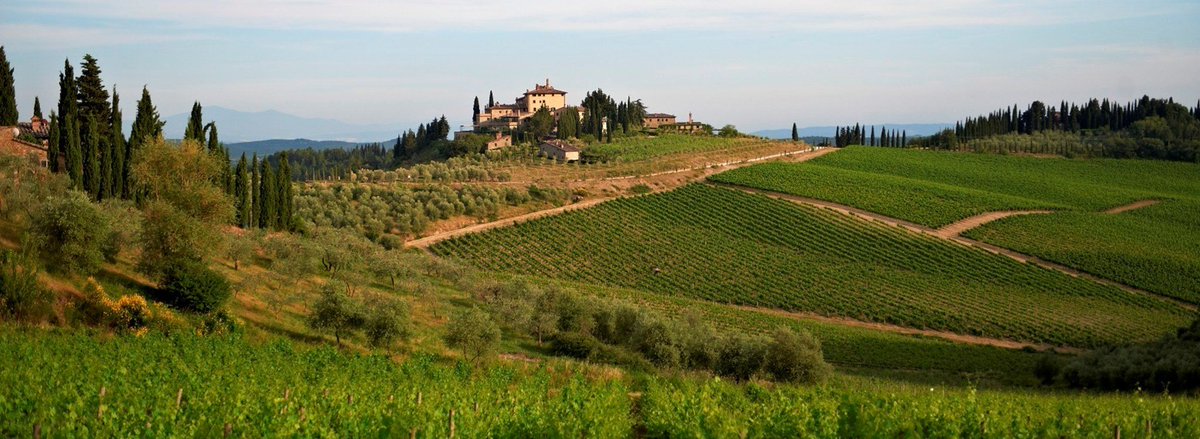 SelectcampIT's tweet image. Cercate un rilassante soggiorno in Toscana? Allora scoprite le proposte di @SelectcampIT! Le vacanze si avvicinano!
selectcamp.it/campeggi/itali…