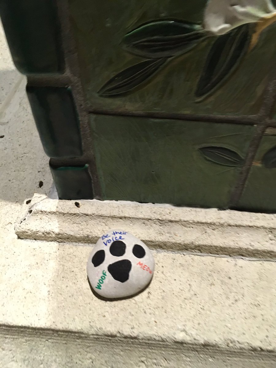 verocyclingclub's tweet photo. Saw this rock at Royal Palm Pointe Fountain this morning. #painted #rocks #findrocks https://t.co/ge3eQtqHru