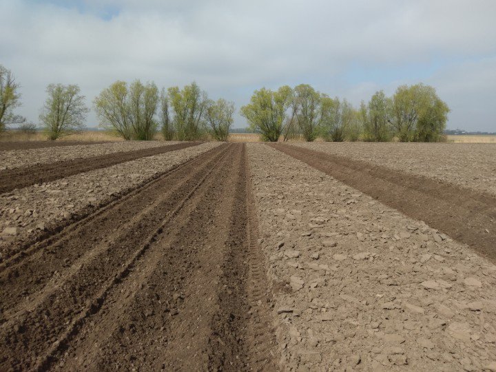 WBrooymans's tweet photo. De aardappels gaan ook hier de grond weer in. #akker #folva #frieslander https://t.co/ORSpGwB38D