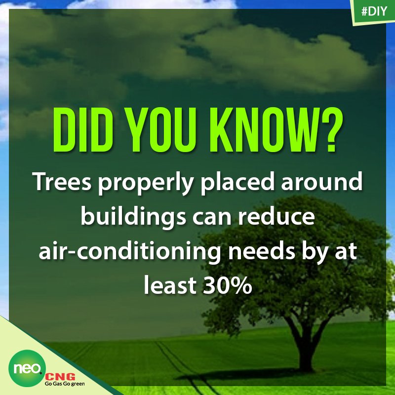 NeoCng's tweet image. Another major reason to plant trees! :)

#NeoCNG #CNG #PlantTrees #GoGreen #ContactUs neocng.com