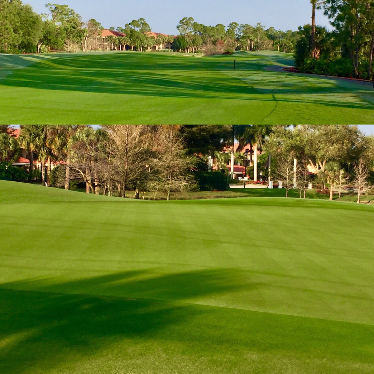 Amazing what a little rain does.  1" over last 7 days.