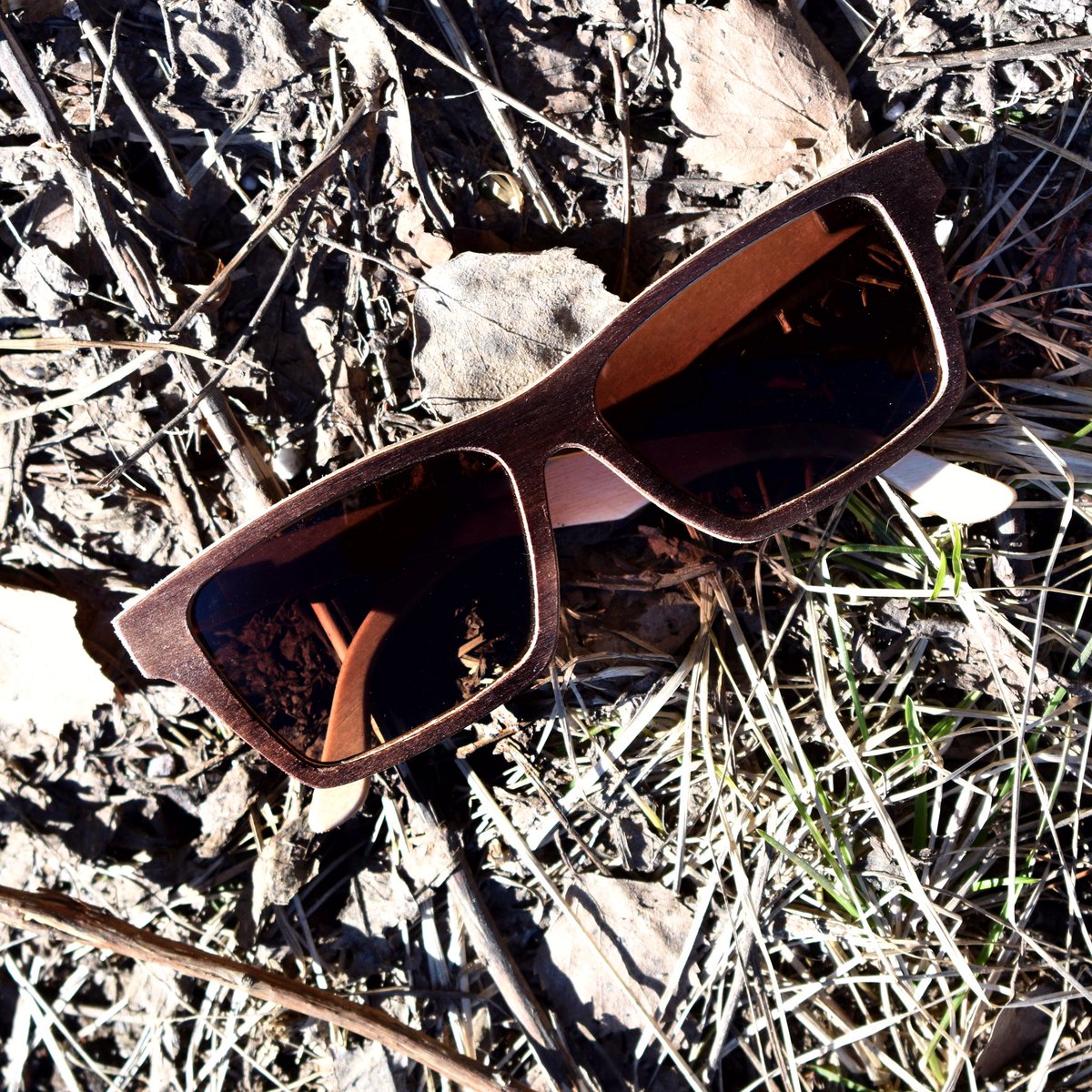 polloteyewear's tweet photo. Varpuspöllöt. Part of nature. #Pöllöt #polloteyewear #woodeneyewear https://t.co/7FpZd48B2S