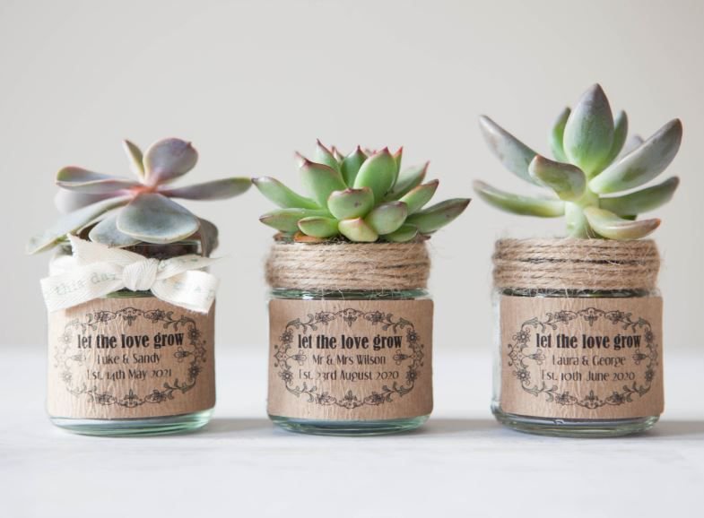 Wedding favours by <a href="/TeacupWedding/">Wedding in a Teacup</a> are perfect for adding fresh greenery to place settings! bit.ly/2ocDsAq