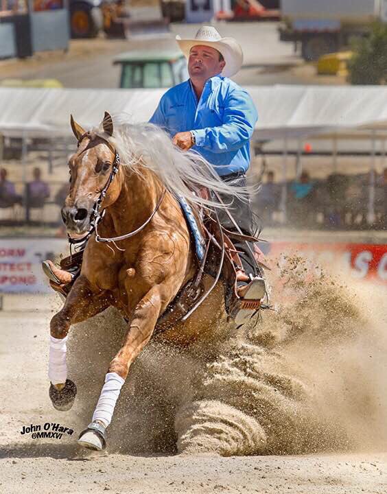 SmartAndShiney's tweet photo. Designed With Shine, sired by @SmartAndShiney, doing what she does best! https://t.co/FbOLj5QH0U