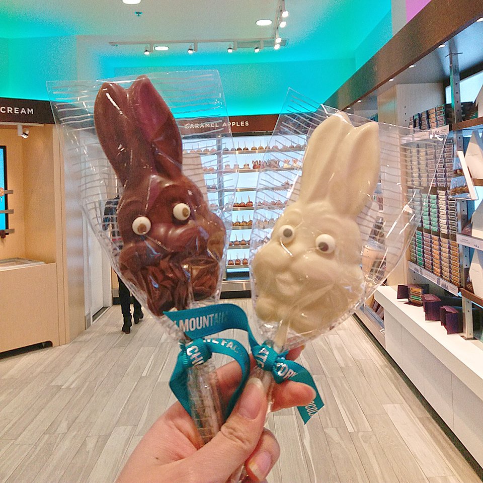 rockymtnchocsq1's tweet photo. Easter is coming and this Bunny chocolate suckers are a great gift, avail in milk white or dark. #eattheearsfirst #easter #rabbits https://t.co/0Tq9mhLRgm