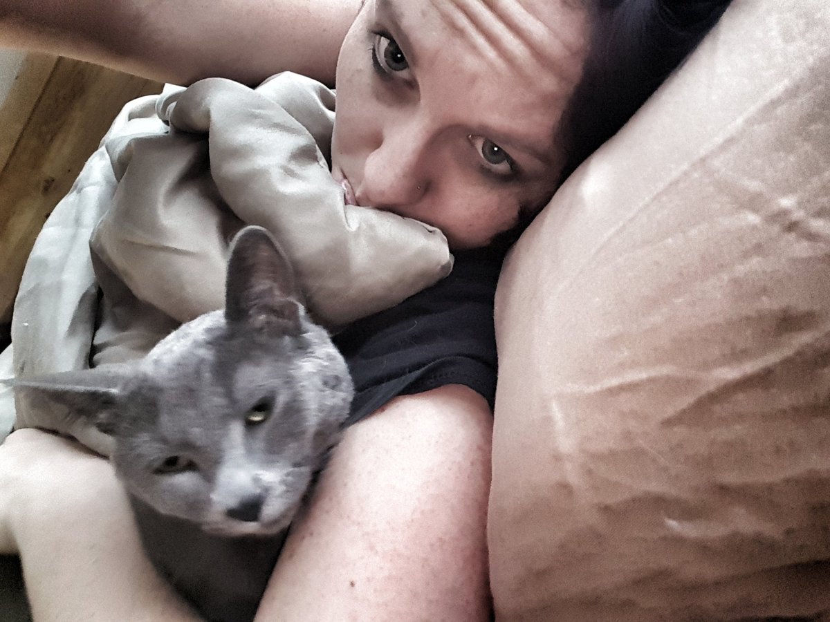 LauzS07's tweet photo. Kitten's- why do you make getting up so difficult ?! https://t.co/1Yn2WySXnI
