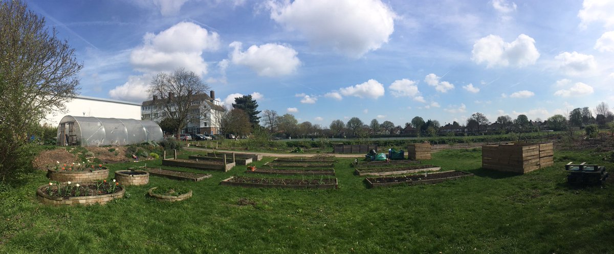 SmaraydaC's tweet photo. Watering this year's crops @UniofGreenwich community garden. Blissful way to spend a lunchtime #londonspringtime https://t.co/Ip3ltXnkhu