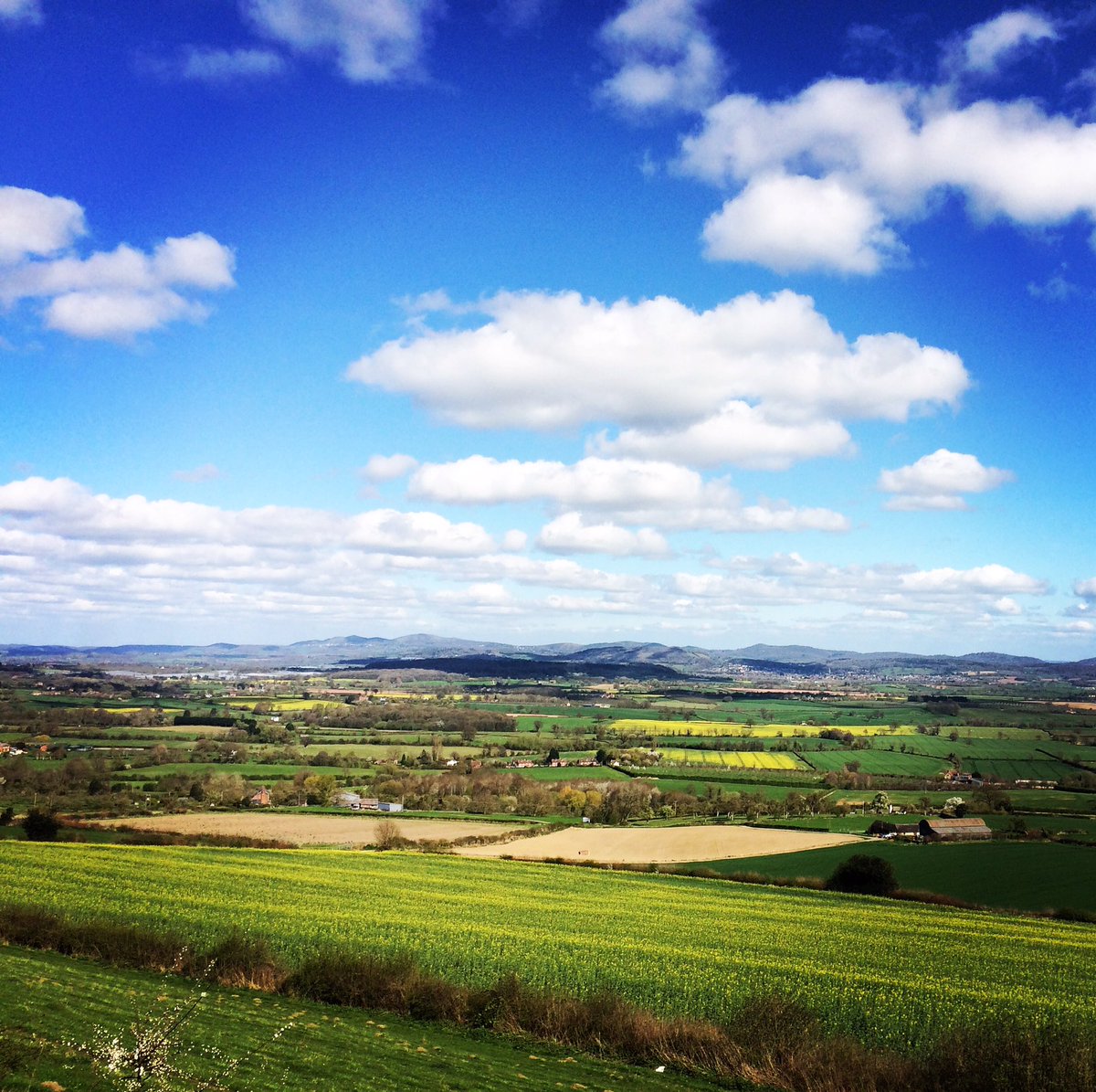 aloejaney's tweet photo. #herefordhour took this photo on #MarcleRidge yesterday. Looking towards #ledbury and #malvernhills It's a bit of a corker!! https://t.co/x6dHJTgFqH