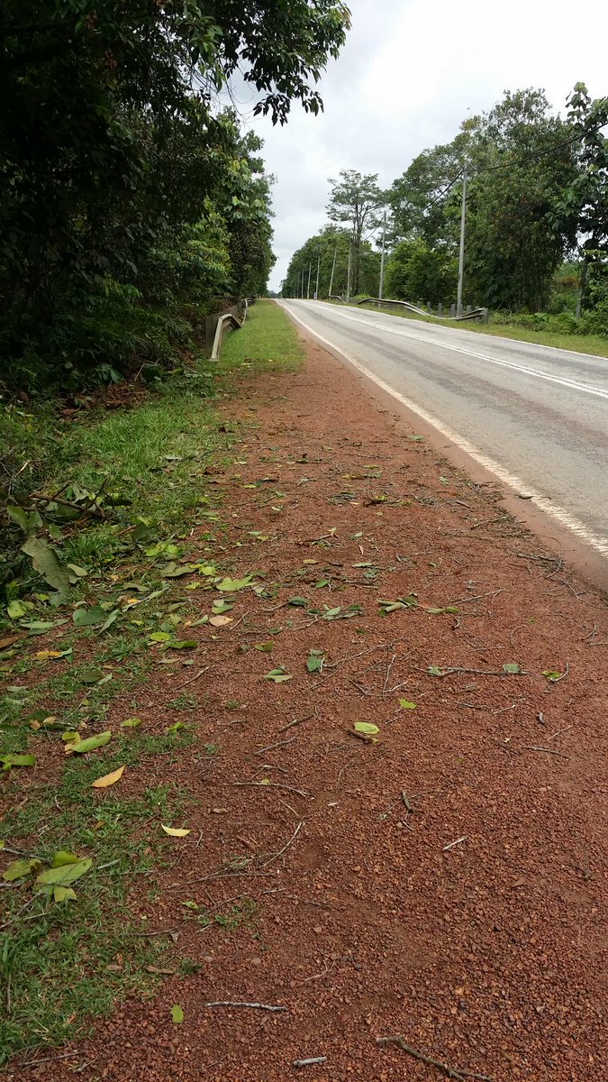 Kerja pembersihan pokok tumbang di FT011 sec.99
#teamroadcare
<a href="/Roadcare_Phg/">ROADCARE PAHANG</a> <a href="/JKRrompin/">JKR Rompin</a>