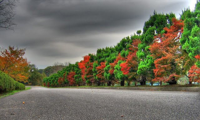 <a href="/peac4love/">Ceni</a> <a href="/CharsWings/">CharsWings</a> <a href="/LaurenVictorita/">LAUREN VICTORITA 방탄소년단</a> <a href="/Antonio88404992/">🗽Anthony🗽</a> <a href="/Silviadomi22G/">♕Lady in Red ❤</a> <a href="/Jilliemary/">Jillian Peeling</a> <a href="/SIMONLERNER1/">SIMON LERNER</a> <a href="/ginestarros/">SuperGina♥️💚♥️</a> @aliciagarciaga6 <a href="/DeFaukatrua/">Edu live</a>