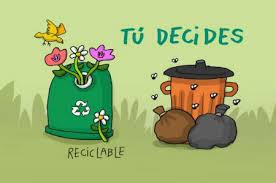 Por que en <a href="/KyklosChile/">Kyklos</a> somos expertos en Educación Medioambiental, te ayudamos a que tu Comunidad y Colegio también lo sean.