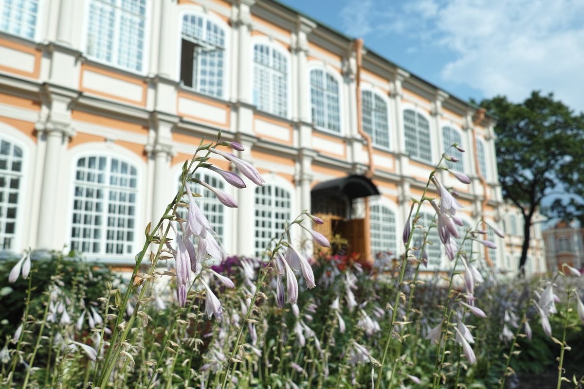 Ken サンクトペテルブルクの街並み ロシア というと 豪雪の町でおっちゃんがウオツカ飲んだくれてるイメージがあるかもしれませんが 夏は開放的で綺麗な町です