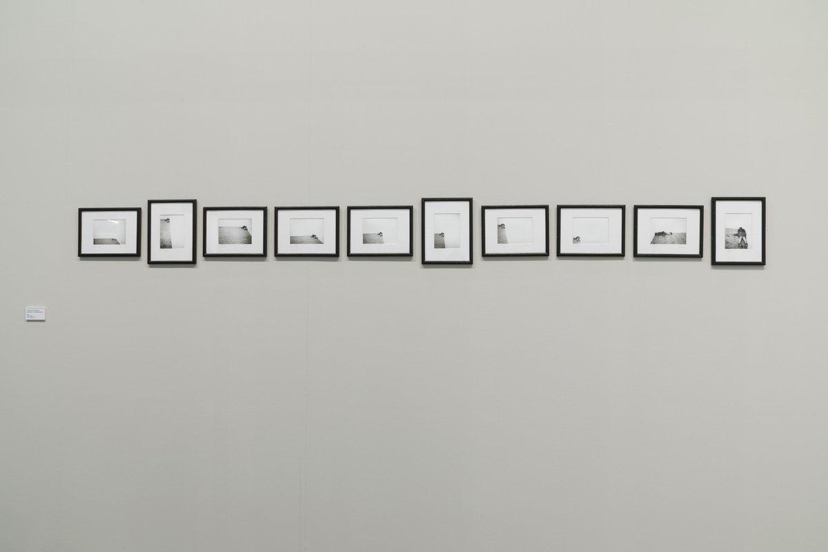 miartMilano's tweet photo. Fondazione Fiera Milano acquisisce #GregorSchneider "Annelore Reuen-Alte Hausschlampe" (2000) at #GuidoCostaProjects #fondogiampierocantoni https://t.co/AxBycIk8Gh