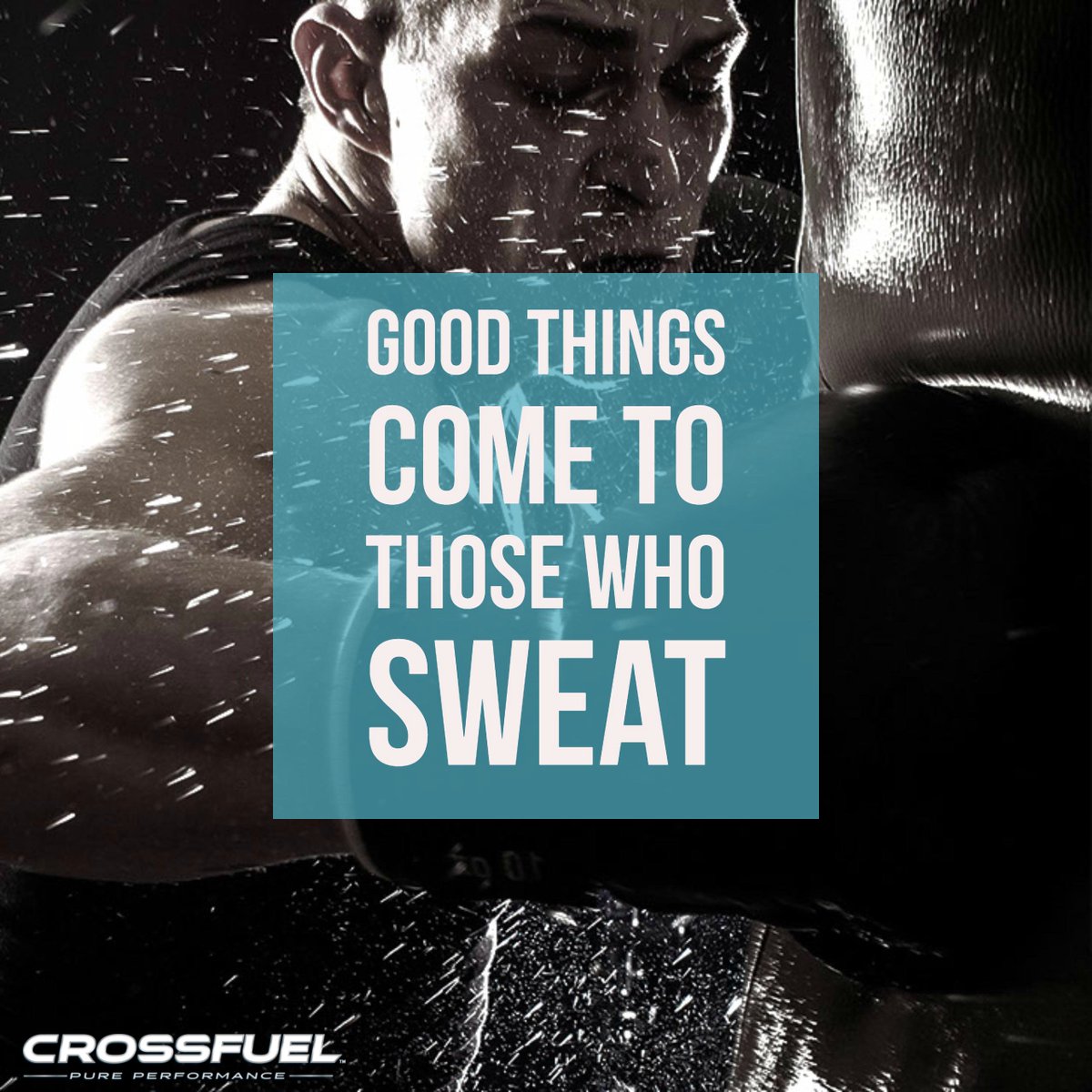 💪 #mondaymotivation