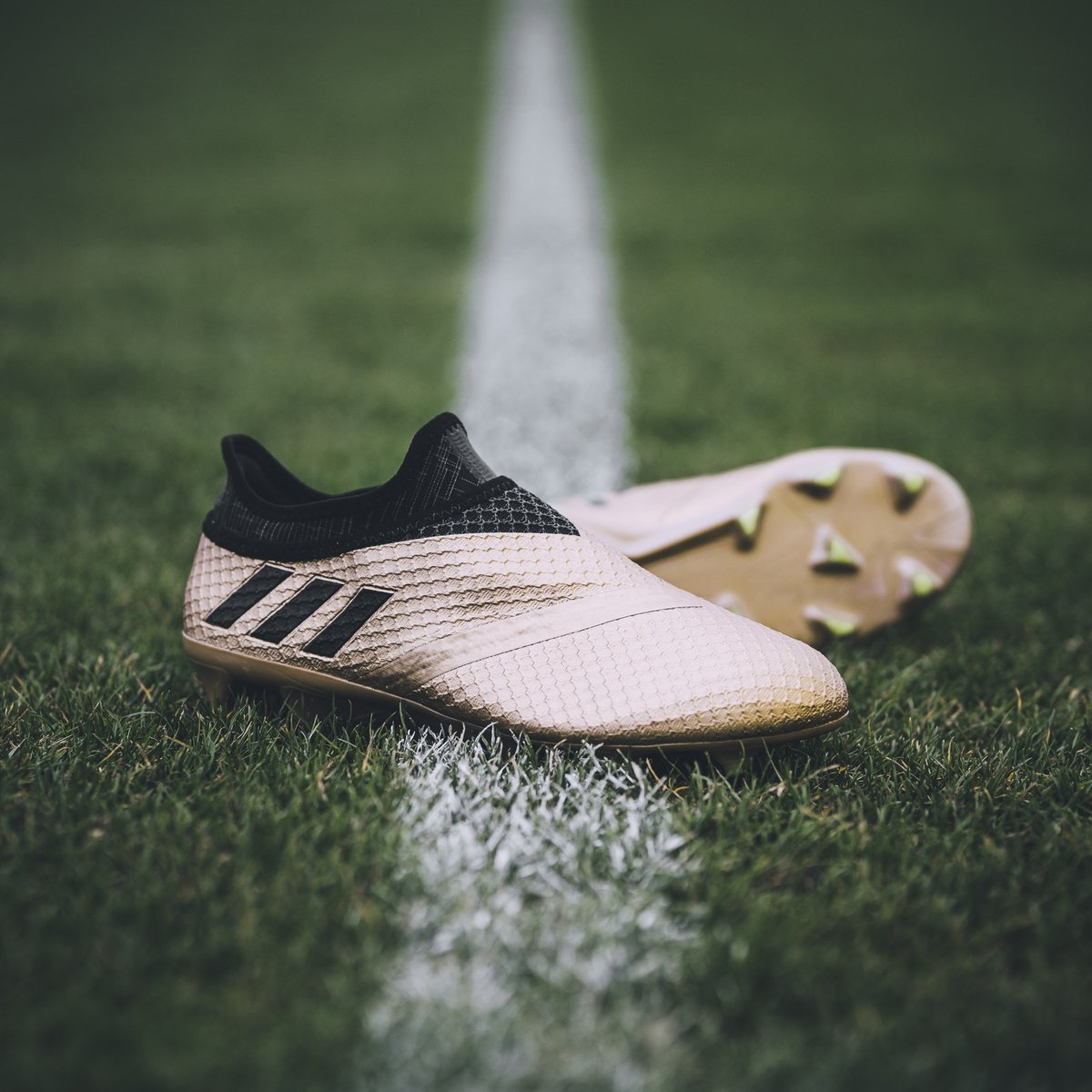 Next level agility!
Der neue Turbocharge #Messi16+ Pureagility
#NeverFollow https://t.co/BX5N0c4z4f