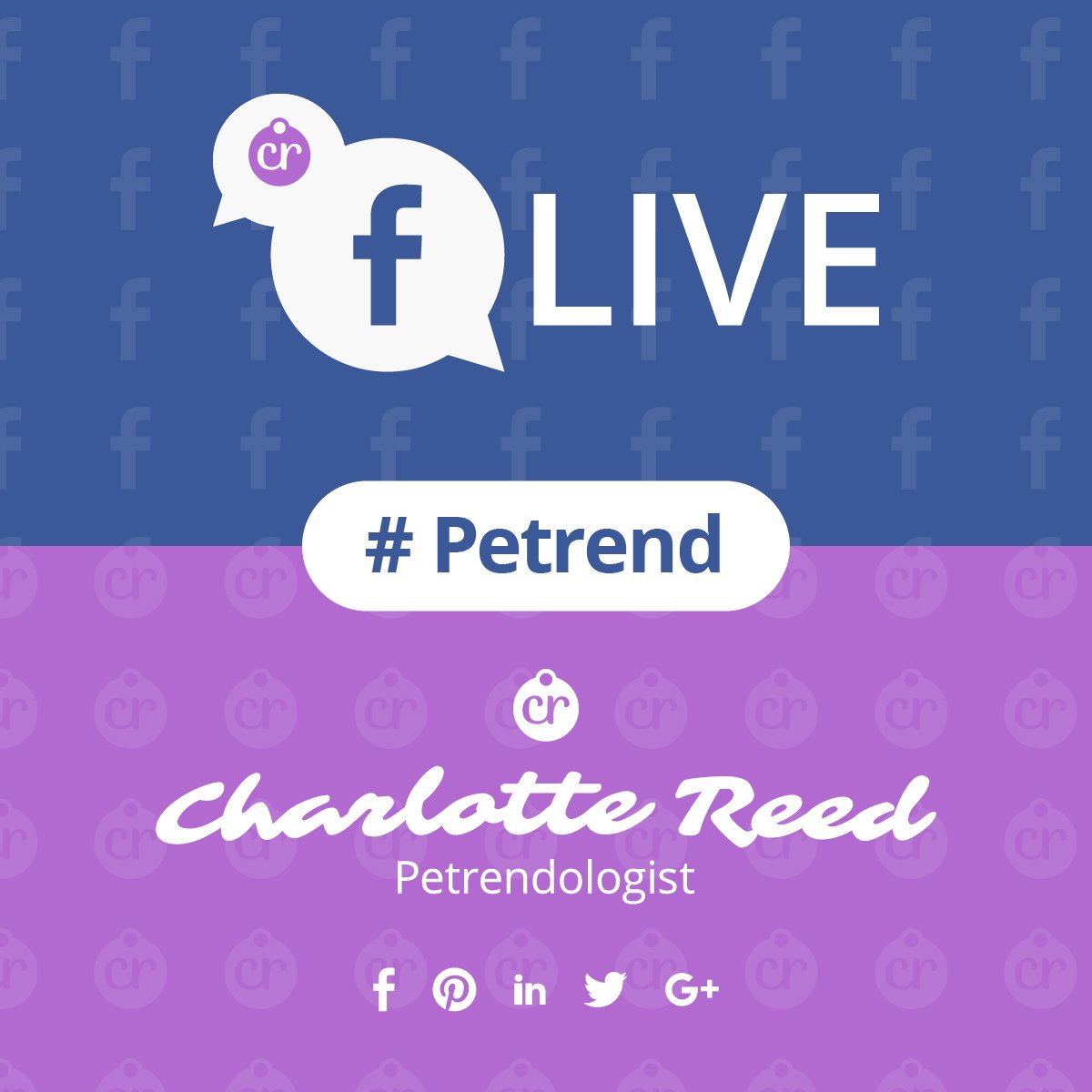 I'm talking "The Ultimate Pet Food Bag on Facebook at 11AM. LESS than 2 hours.   JOIN ME THIS AM.  #Petrends in #Petfood.