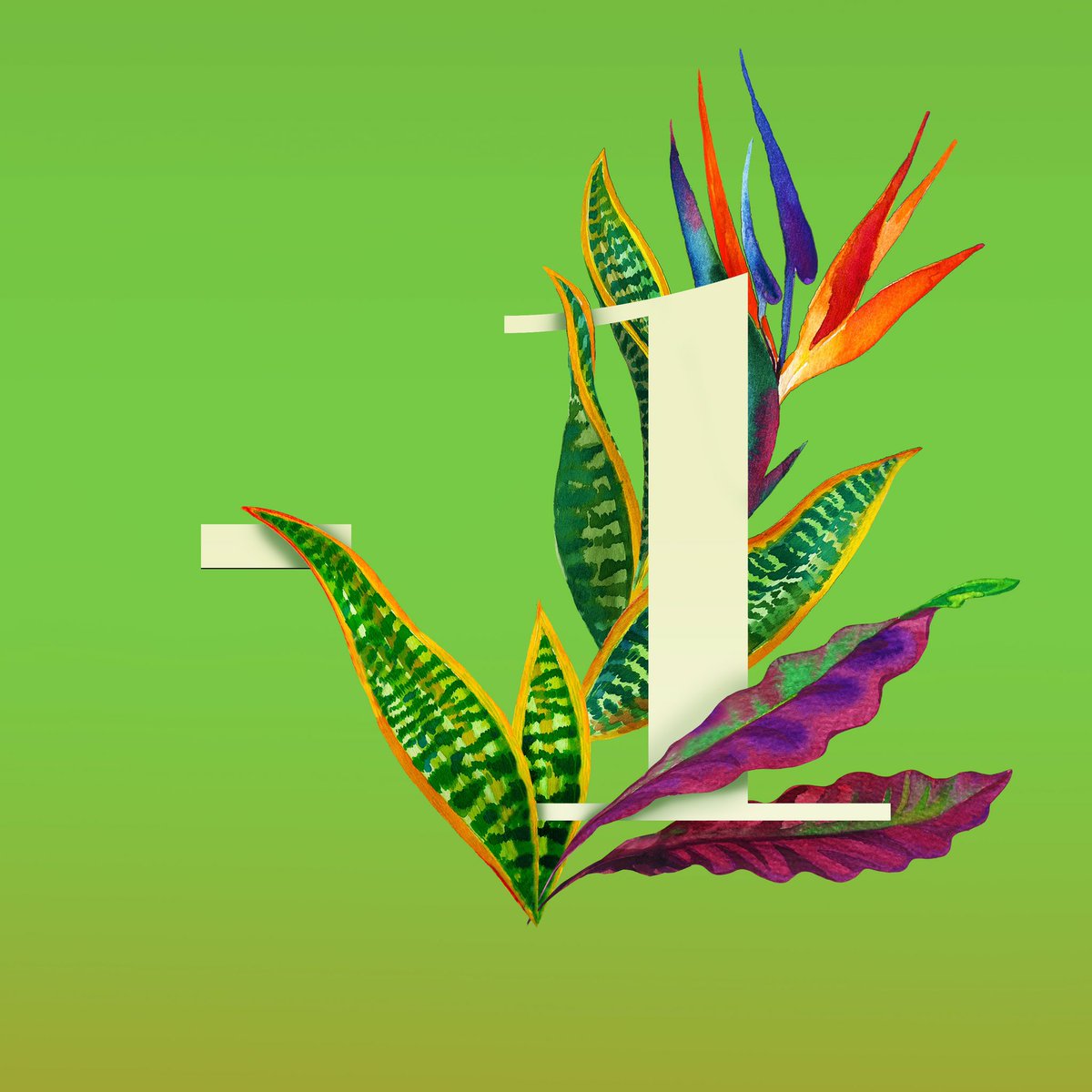 20144studio's tweet photo. One day to go... hope to see you all tomorrow in the #rainforest!🌿🌺🍃  #mdw17 #fuorisalone  #BreraDesignDistrict #20144studio  #slowwood https://t.co/15UIkc9SrN