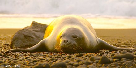 GoOutdoorsWest's tweet photo. RT @OurOcean: Good morning! #Mondays https://t.co/z0GVw1SUEG
