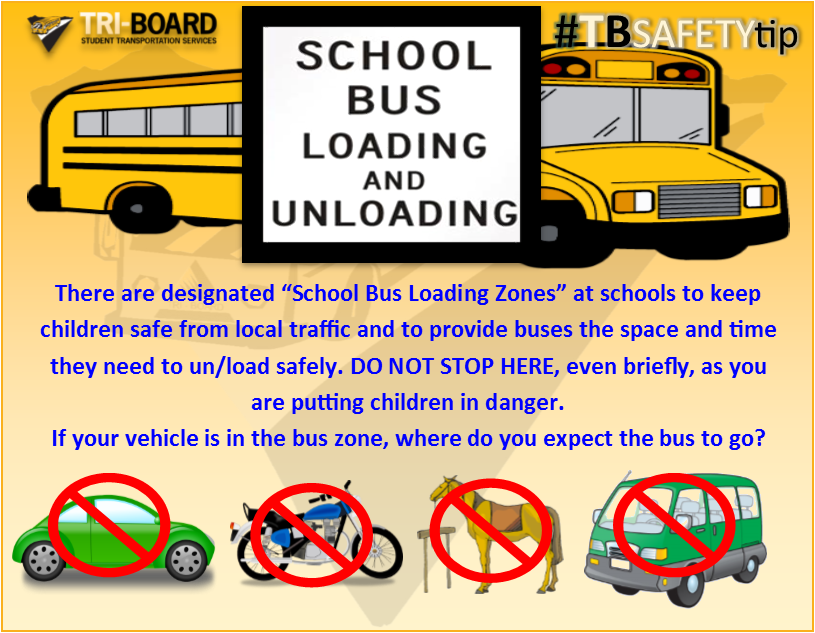 triboardbus's tweet photo. #TBSafetyTip: If you're not a school bus you can't sit with us #SorryNotSorry #BUSloadingzone https://t.co/vcV1Lz4QUi