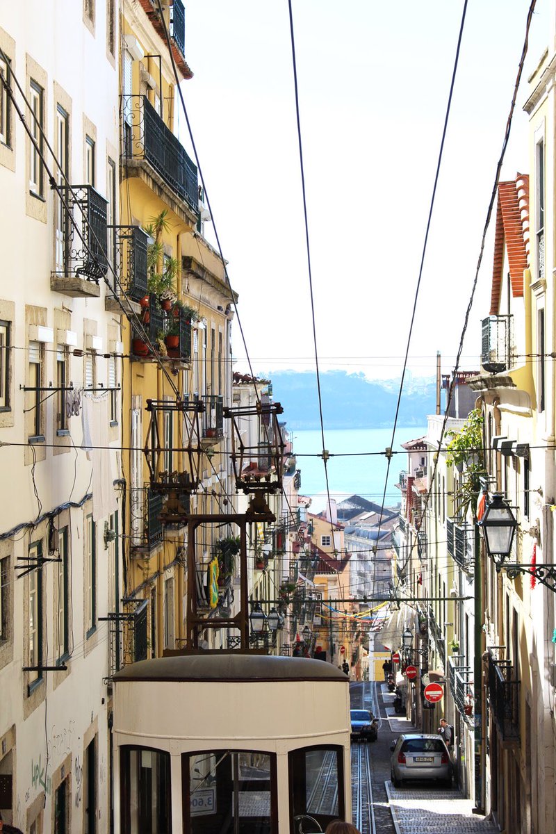 pureidyll's tweet photo. Beautiful Lisbon!! https://t.co/QQaNquu70j https://t.co/KgHtqD0qDG