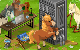 Bild auf Twitter anzeigen