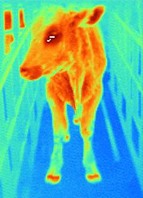 marketintelrpt's tweet image. #Uncooled #ThermalImaging Market is fueled by increasing adoption of the technology in various end user industries bit.do/dkn7u