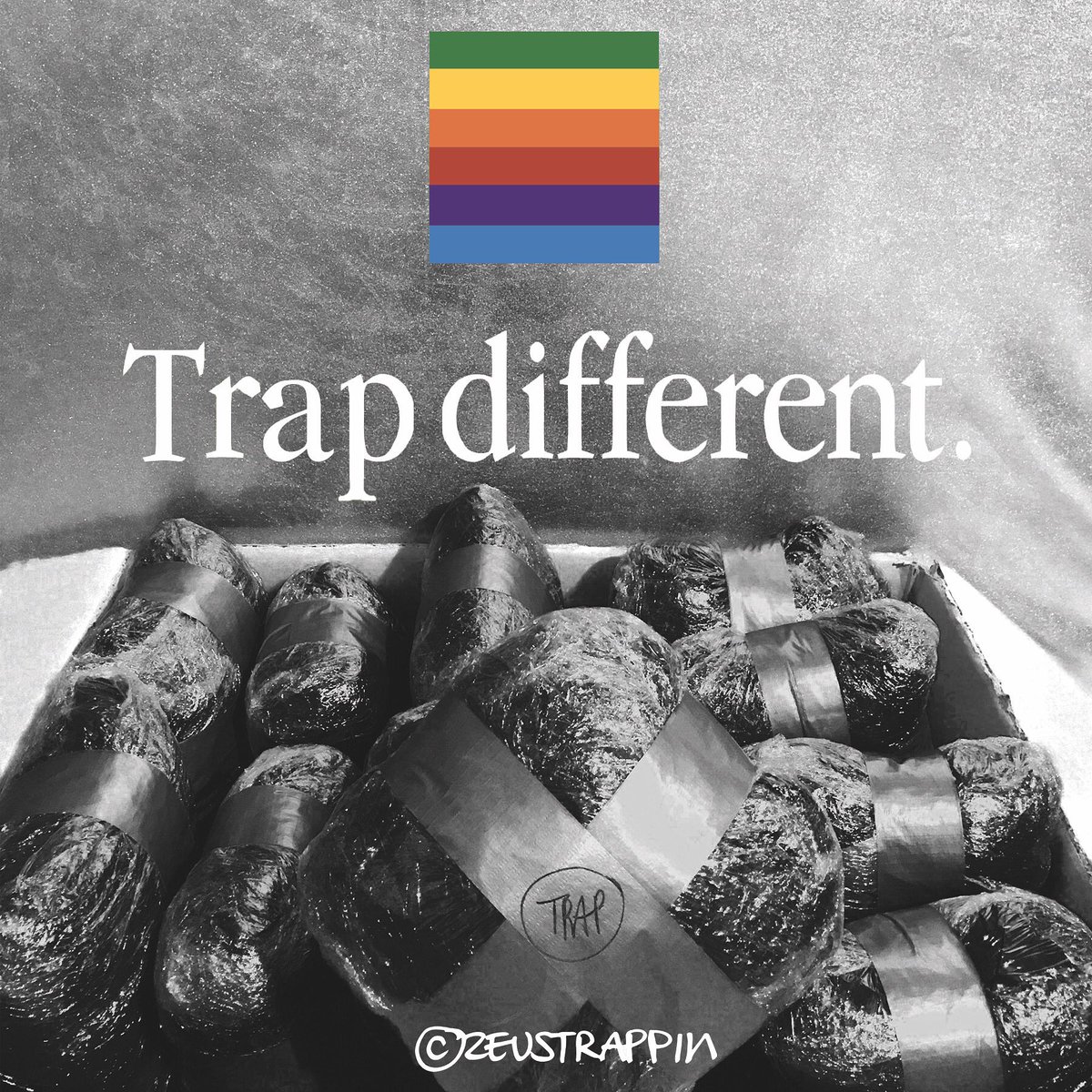 ZeusTRAPPIN's tweet photo. @gucci1017 @BMW trunk full of bricks #Trapdifferent https://t.co/X98nga3HkL
