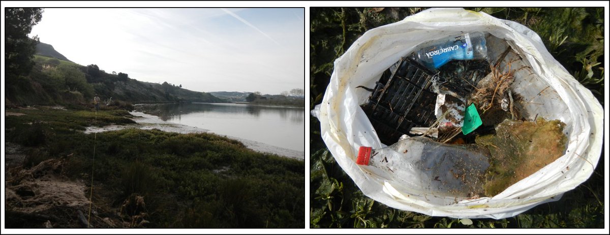 MazarrasaInes's tweet photo. Sumidero de basura marina en un LIC de estudio: 403 elementos en sólo 35 m2. #ProyectoCLEANLICS https://t.co/xy6z7Hidbz #Biodiversidad https://t.co/ti7BcyOQkR