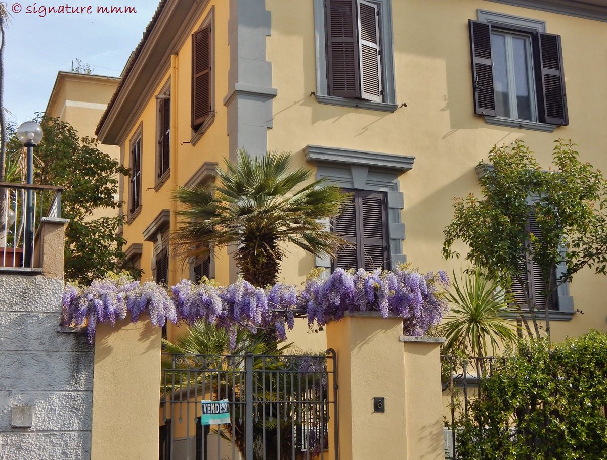 ManjaMexiMovie's tweet photo. 20 balconies, windows and signs of spring in #Rome.
own #photography
#flowers
#RomanSpring
https://t.co/Yic918EnNh https://t.co/MkZmLixXiz