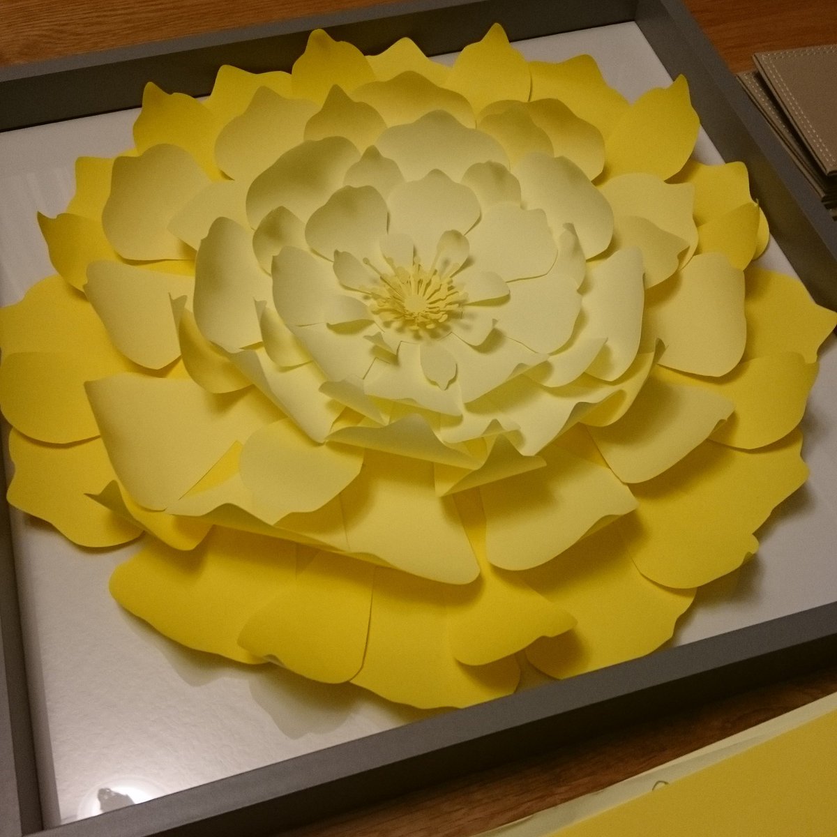 Lot of love for our first 16" framed piece. #paperflower #grey #yellow #homedecor #weddingflowers #visualmerchandising #ombre #madetoorder