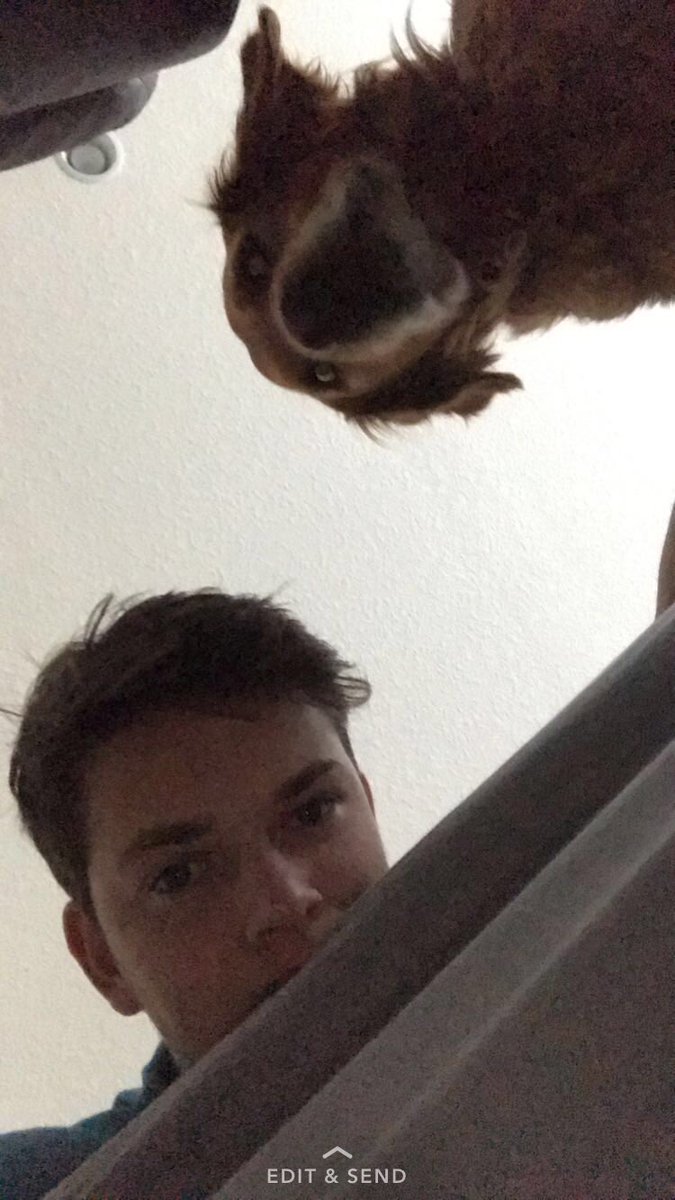 YuleRiley's tweet photo. Had to say goodbye to my best friend... absolute best dog a kid could have. No one I love more, rest easy buddy ❤ https://t.co/l4VwIz0s0g