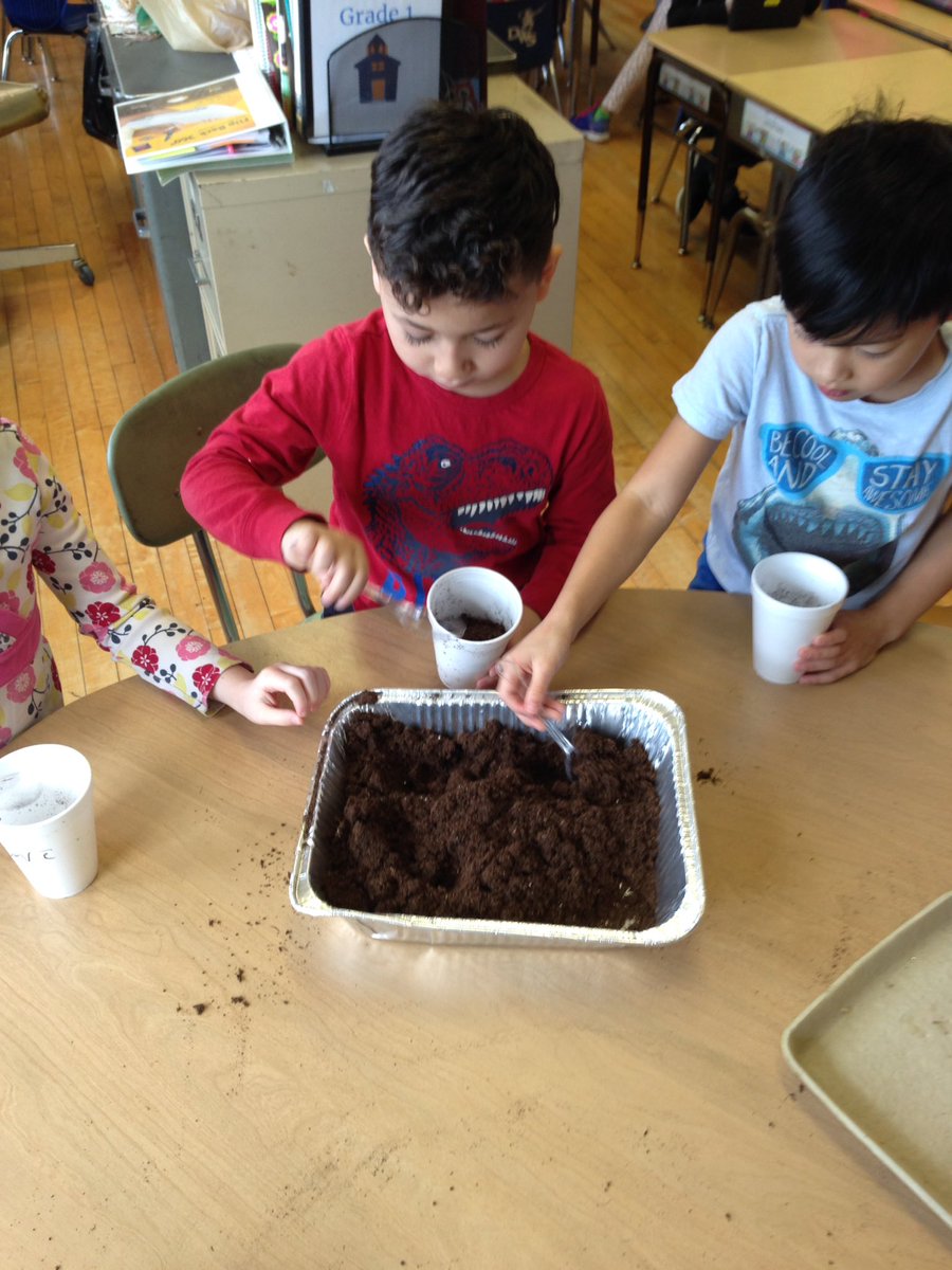 ehesketh301's tweet photo. We're planting our own seeds today! @AnnaRudowsky @WeehawkenTSD #livingthings #PBL #WeePlant #WeeDiscover https://t.co/tulBG85SQV