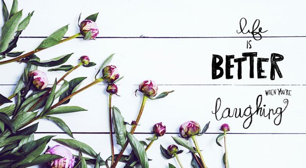 iflorist's tweet photo. Life Is Better When You're Laughing #mondaymotivation https://t.co/JTuFRSjHt1