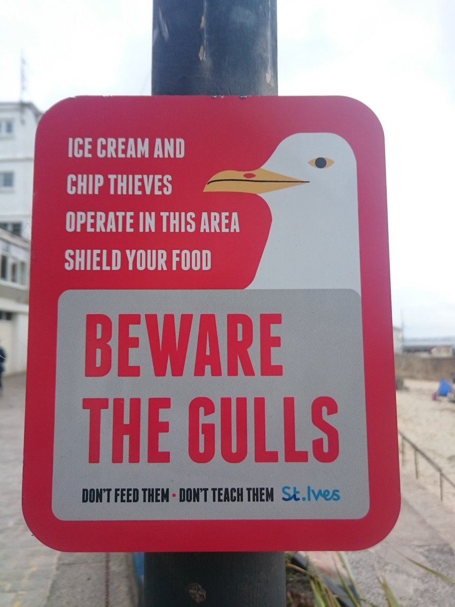 Judging_Jester's tweet photo. Probably the best signs I've seen in St.Ives #Pastythieves #knowyourenemy #fearthegulls #dontteachthem https://t.co/QrQZLHtVxl
