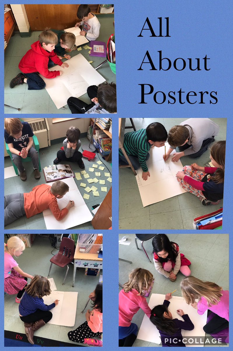 Having fun putting our All About Posters together. The kids have spent a lot of time fact collecting about their animals.