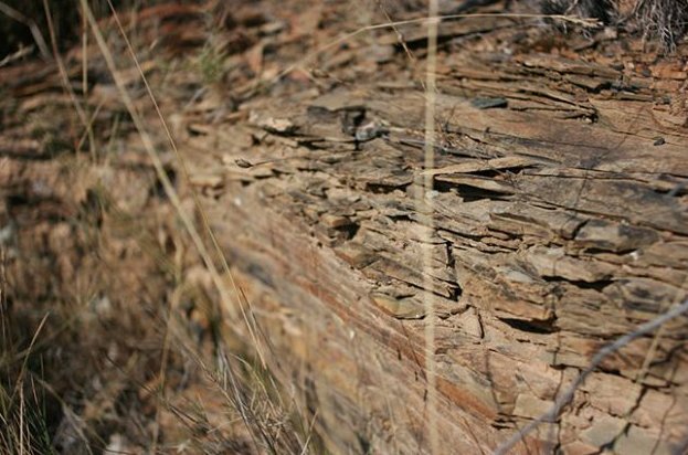 Terroirs de Schistes tweet media