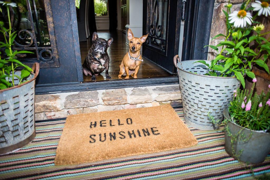 Spring Cleaning Sale <a href="/SugarbooandCo/">Sugarboo & Co.</a> 
April 3-9, Door Mats will be $38 (usually $50)