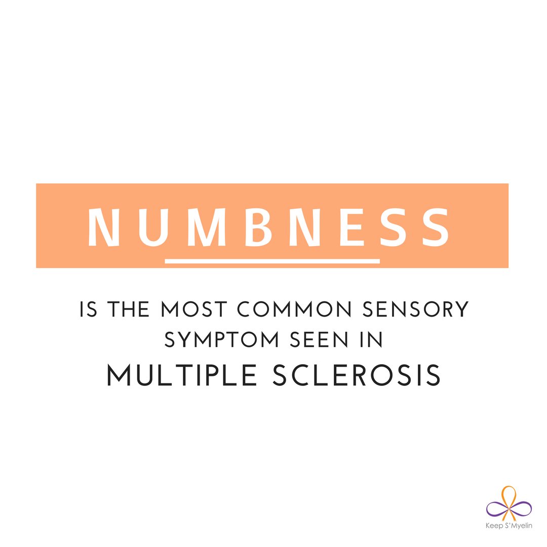 Keep S'Myelin tweet media