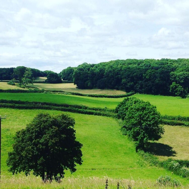 ClockworkM's tweet photo. The daily view from ClockworkHQ - our utterly barn-y offices #lovewhereyoulive #torbayhour #clockworkmarketing #hospitalitymarketing https://t.co/vo81PPrADj
