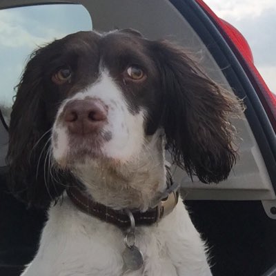 RubyRubyduby1's tweet image. #NewProfilePic