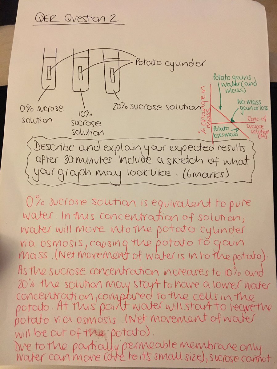 MissSeville's tweet photo. Year 10 students- here are my QER answers. See how well you did! https://t.co/MWSNl24VhO