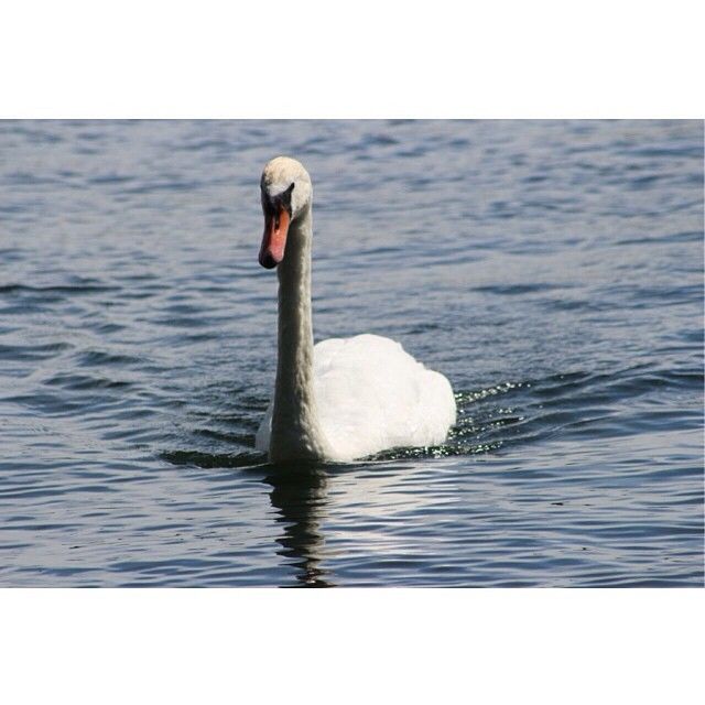 Mohdrashid9#Oman (@mohdras35291785) on Twitter photo 