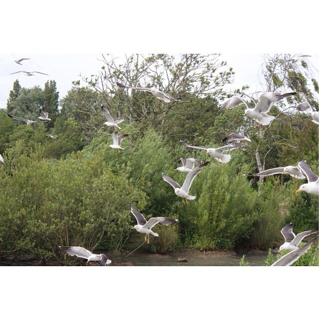 Mohdrashid9#Oman (@mohdras35291785) on Twitter photo 