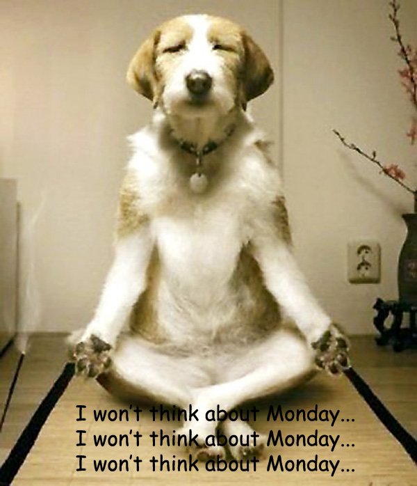 We`ve almost made it through Monday!
