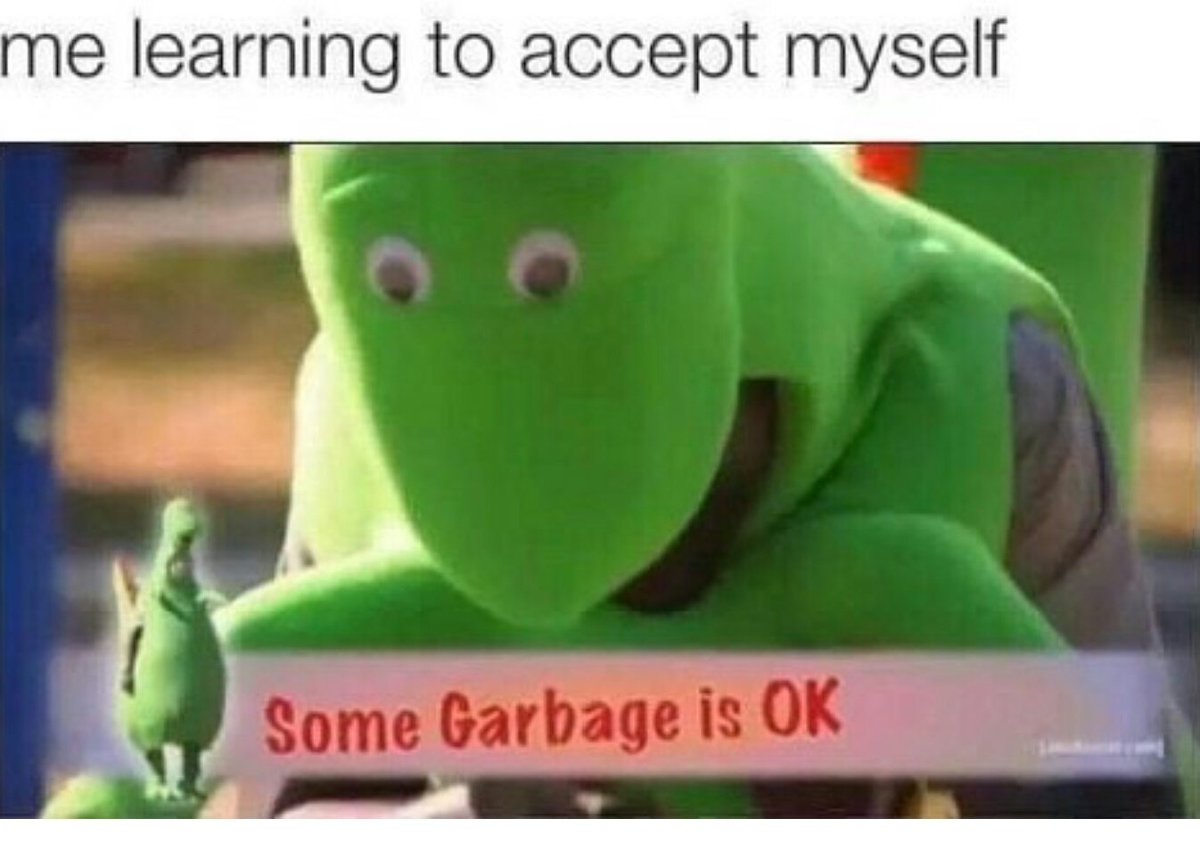 garbage #somegarbageisok #selfacceptance #acceptance #me #mylife #lol #lmao  #lmfao #haha #hilarious #humor #funny #joke #jokes #meme #memes, image size:1200x843