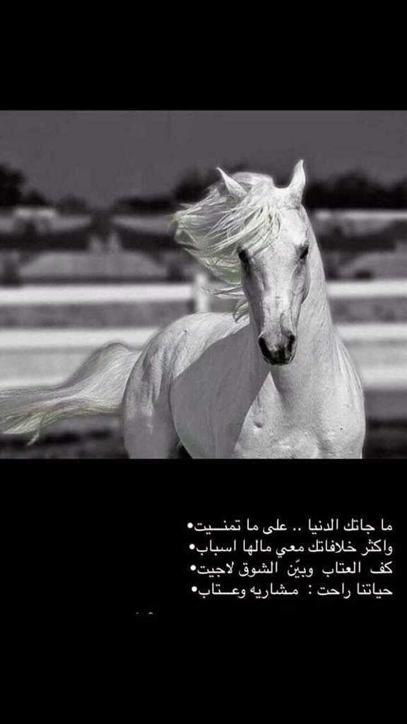 @@ الروقي@@❤ (@aebeed2) on Twitter photo 