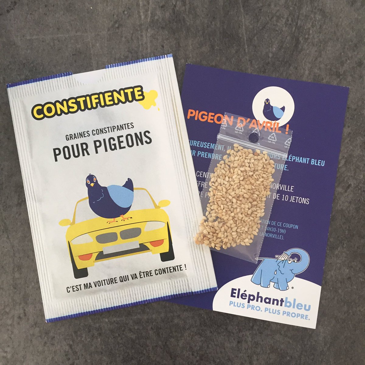 actusmediasadco's tweet photo. Le joli #pigeondavril d' @Elephantbleuoff par @serviceplanfra 👌🏻🐧 😂#elephantbleu #constifiente https://t.co/mfRkqaeTxu