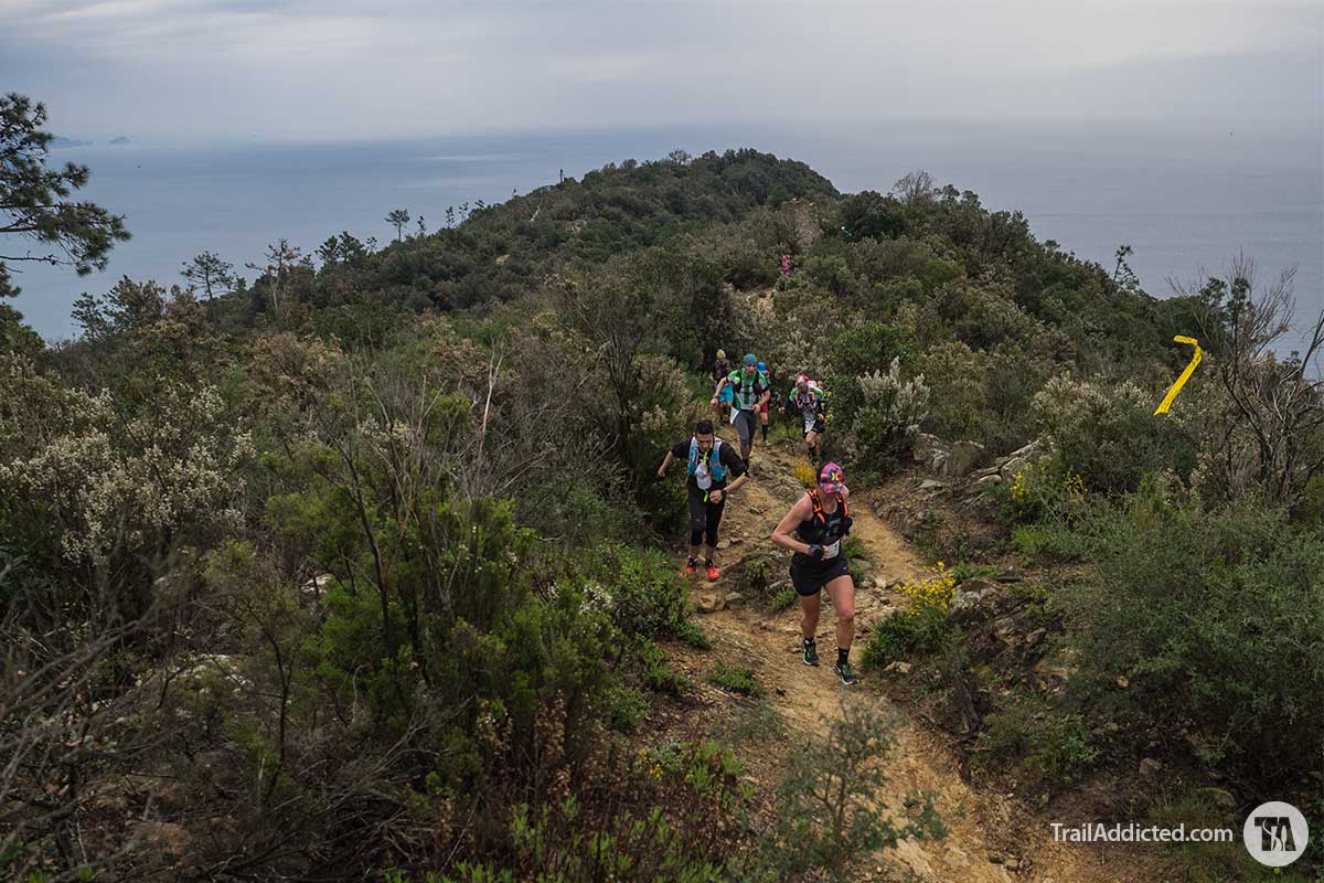 trailaddicted tweet picture